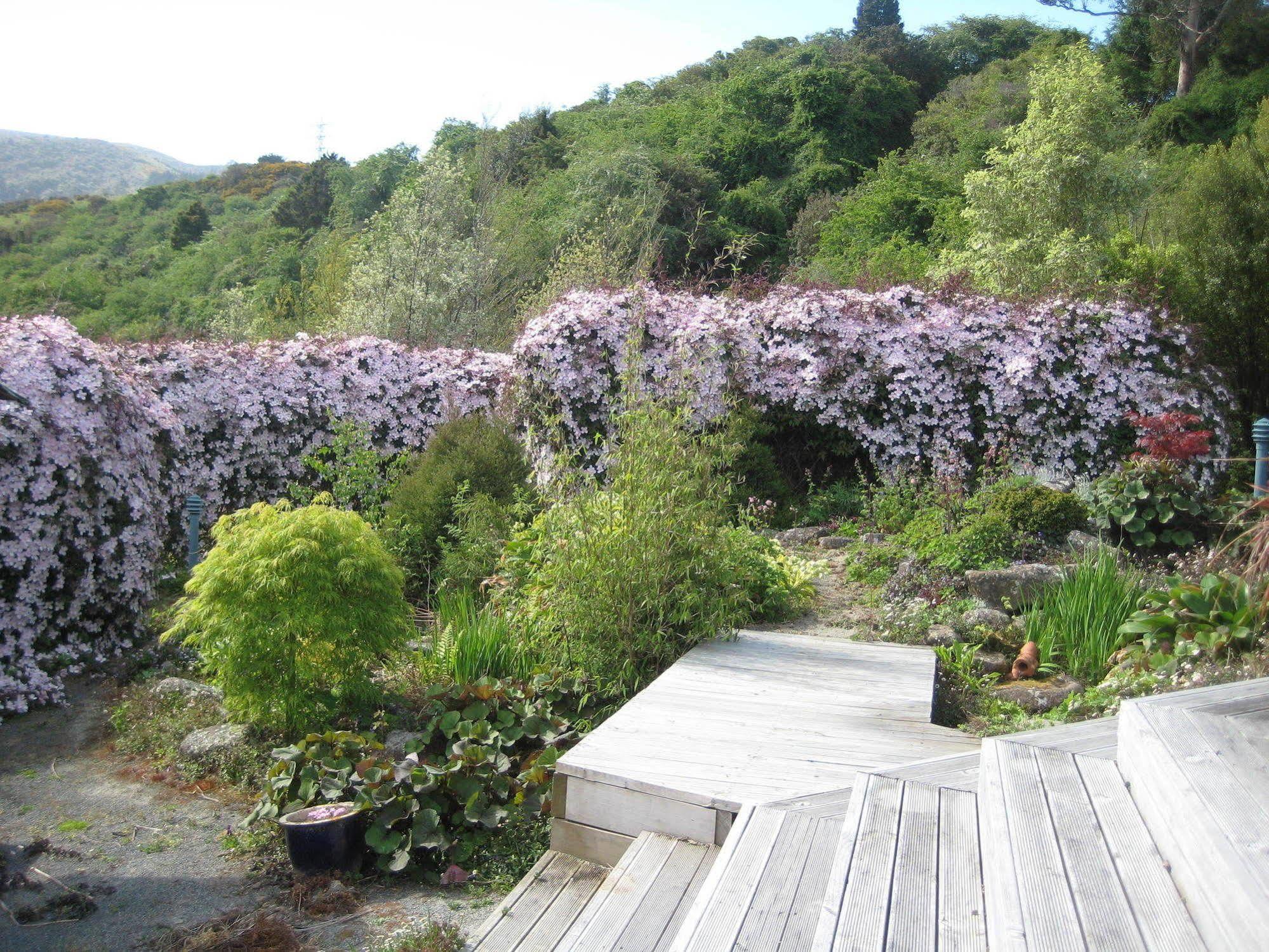 Leithview B And B Dunedin Exterior photo