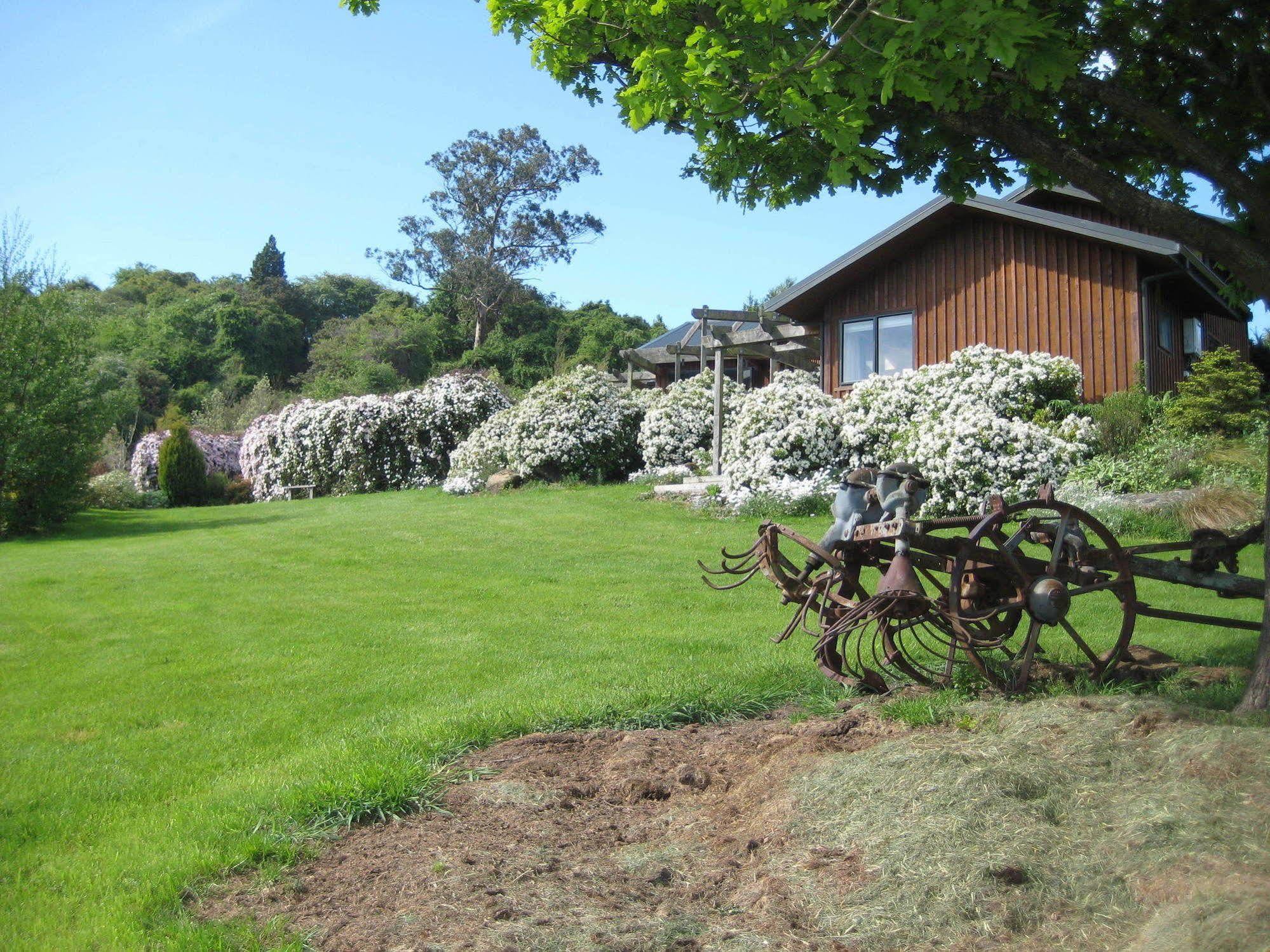Leithview B And B Dunedin Exterior photo